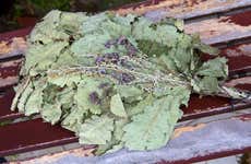 Experiencia privada de sauna en los bosques de Vilna