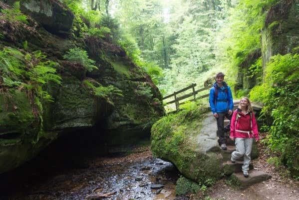 Immerse yourself in nature