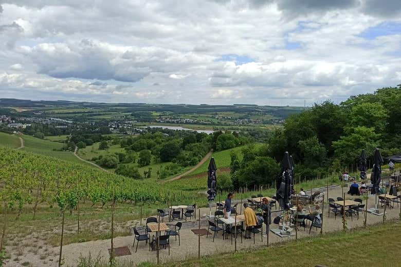 Pranzo in terrazza privata