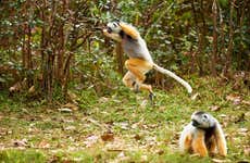 Tour de 9 dias por Madagascar