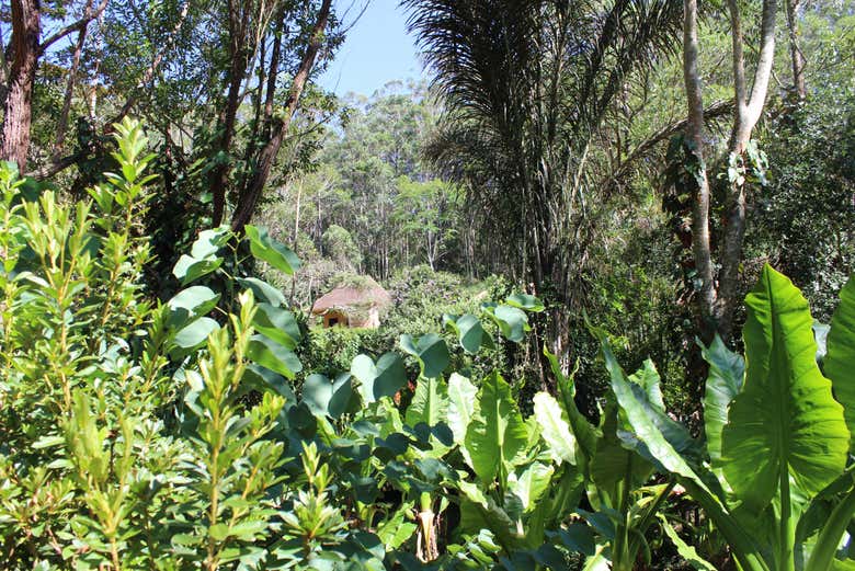 Explorando Analamazoatra