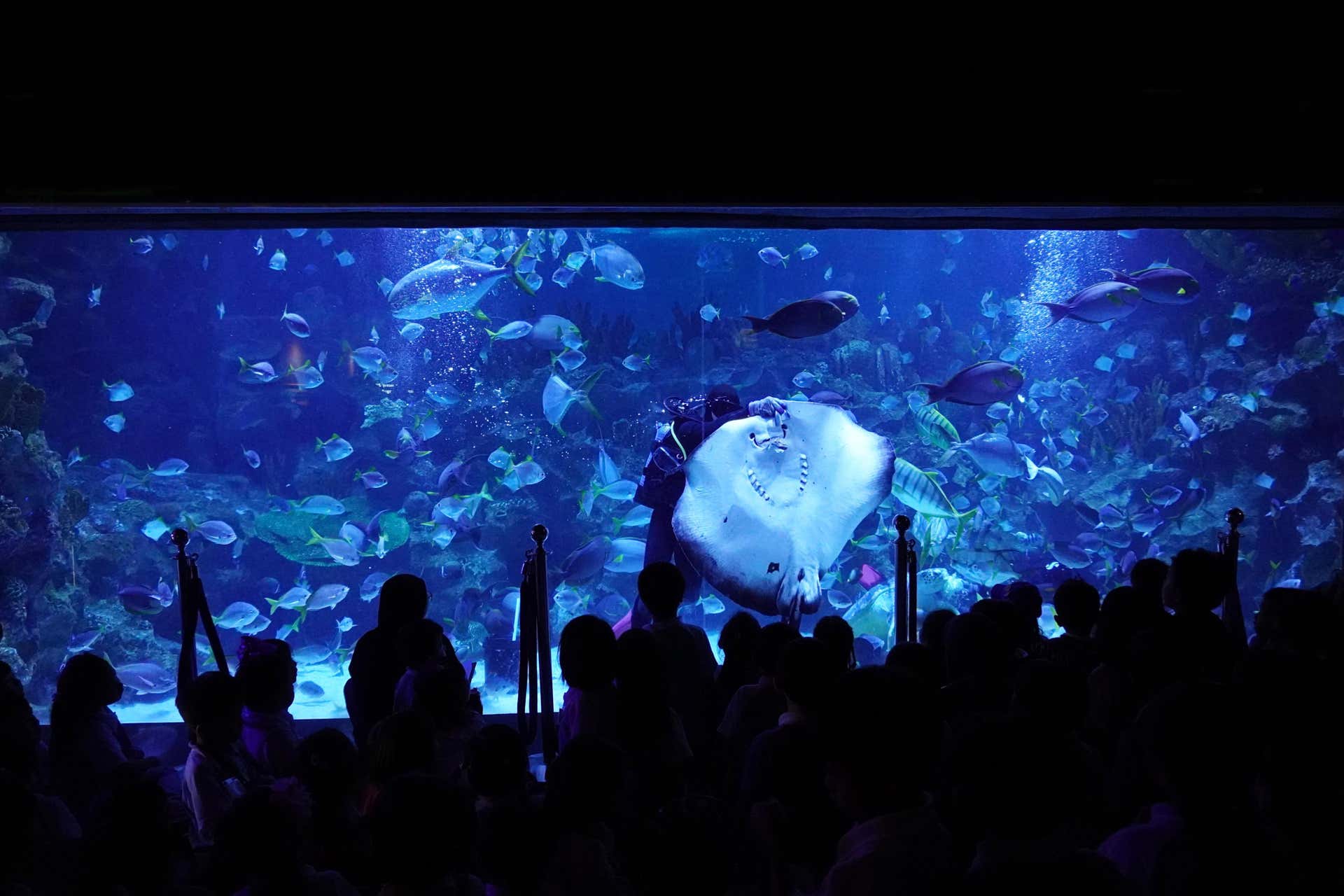 Entrada a Aquaria KLCC, Kuala Lumpur