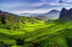 Excursão à região de Cameron Highlands