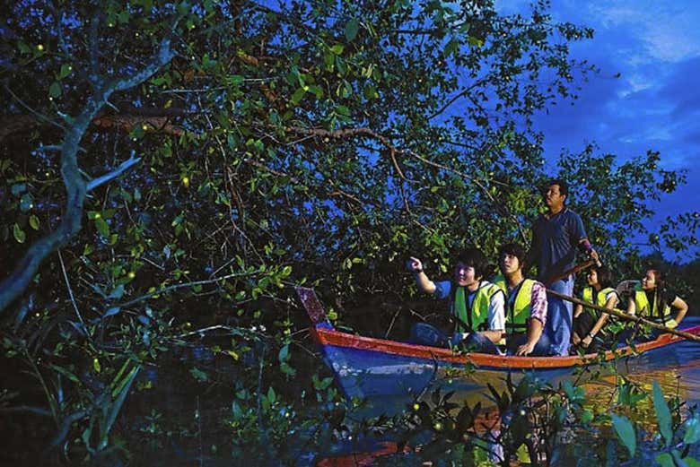 Navegando por el río Selangor en busca de luciérnagas