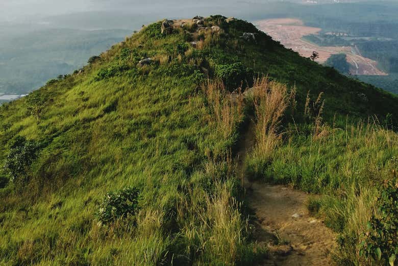 Campos verdes en Bukit Broga