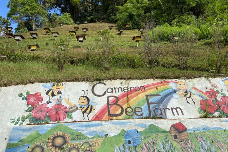 Granja de abejas