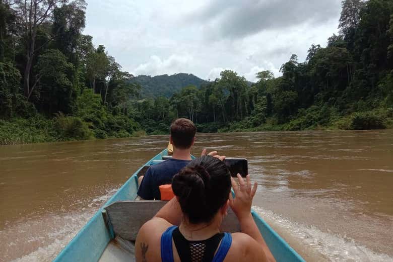 Navigando sul fiume Tembeling