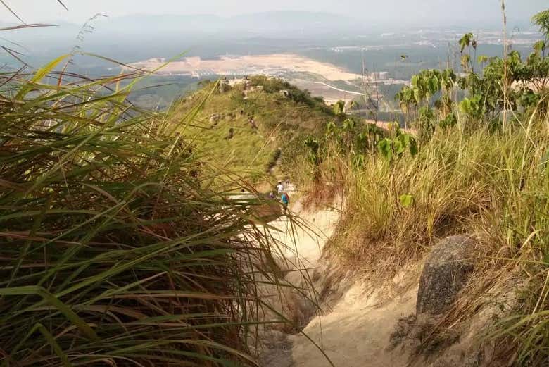 Siguiendo el sendero