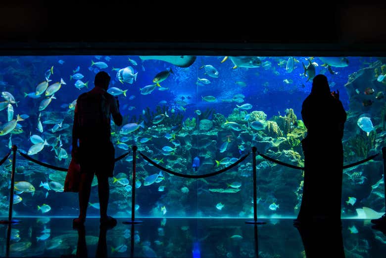 Aquaria KLCC