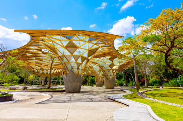 Visita guiada por el Jardín Botánico Perdana