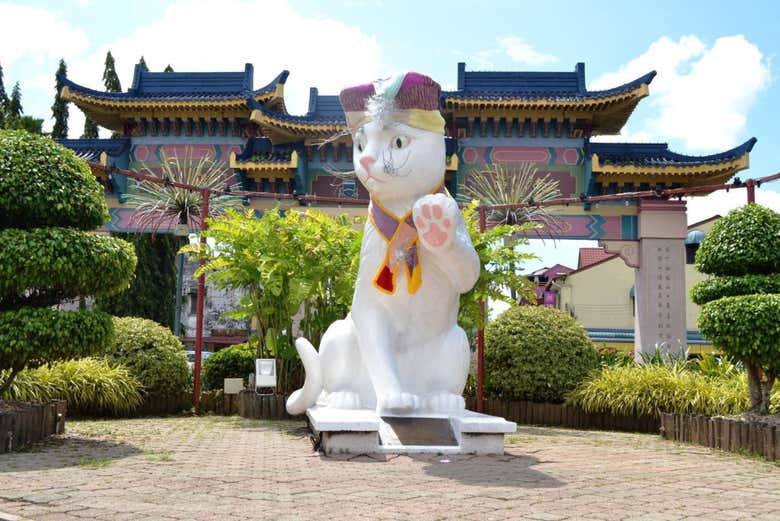 ¿Qué tendrán en esta ciudad con los gatos?