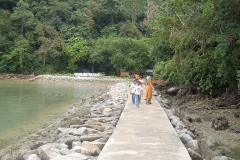 Passeggiando a Dayang Bunting
