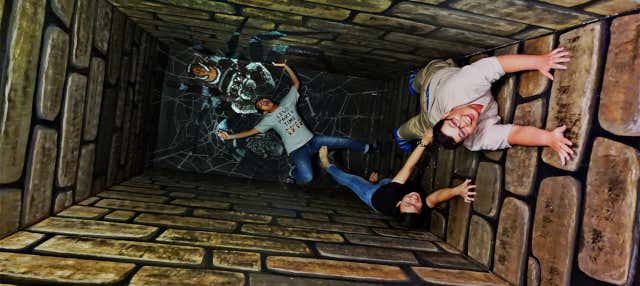 Entrada al museo de arte Trick 3D