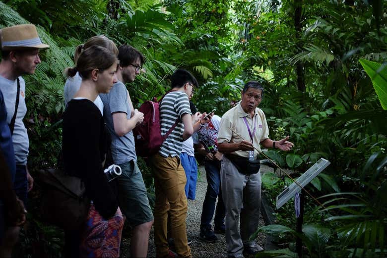 Guía en el Jardín de Especias Tropicales