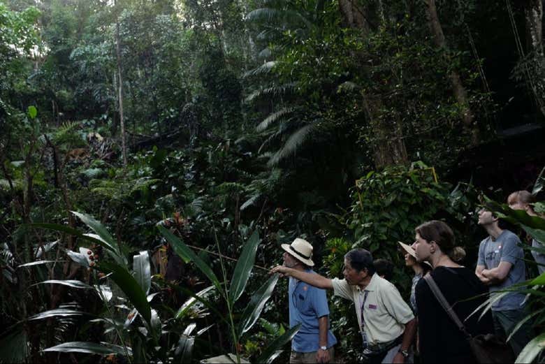 Jardín de Especias Tropicales