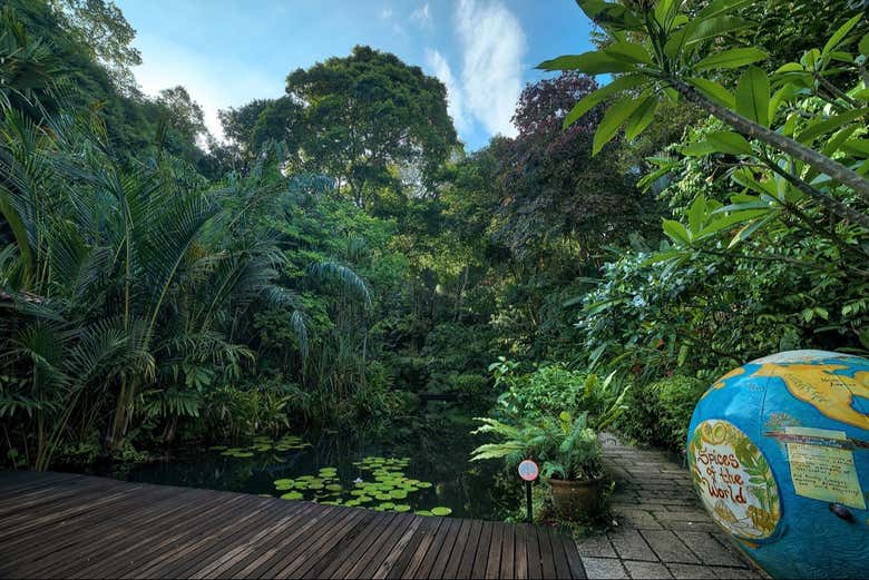 Terraza de especias del mundo