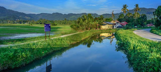 Visite à vélo dans Penang