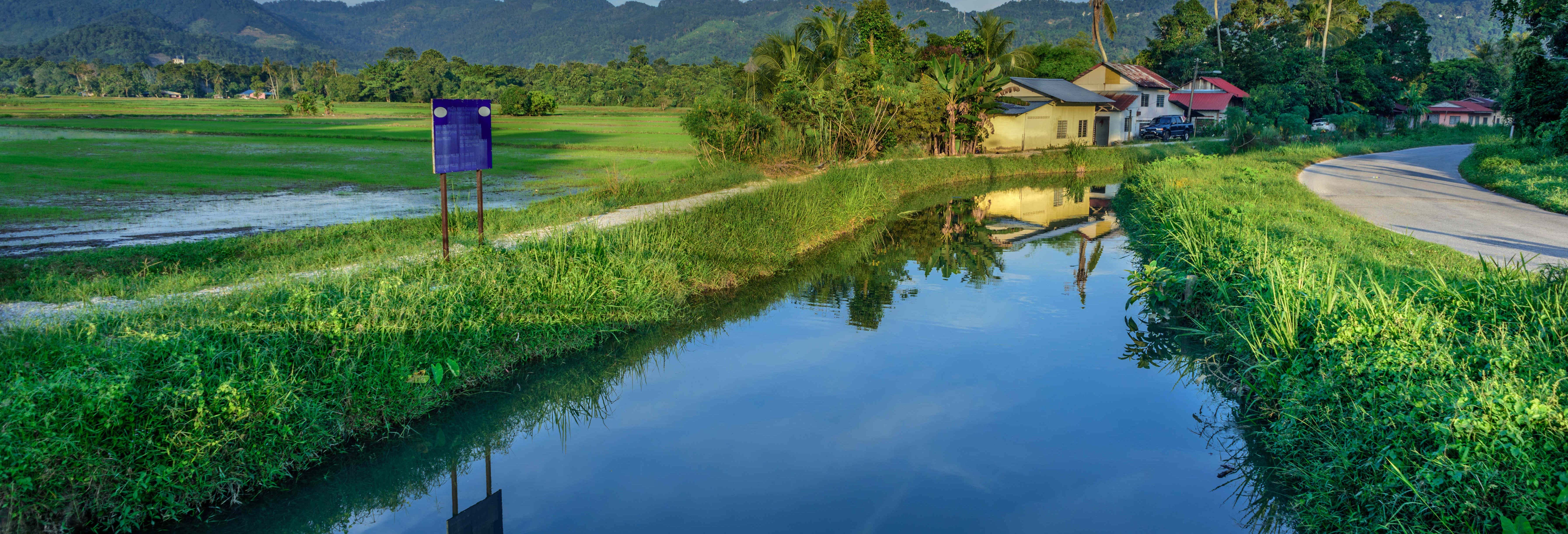 Guided tours and free tours in Penang