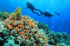 Immersione per principianti ad Addu