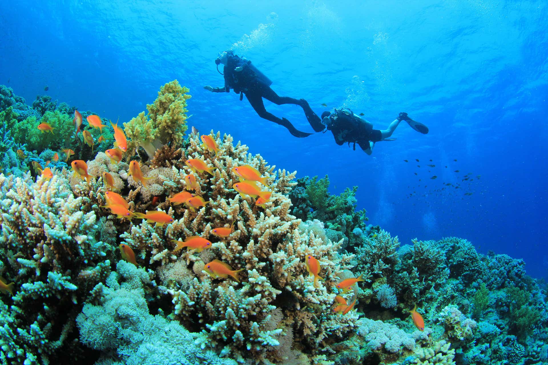 Batismo de mergulho em Addu