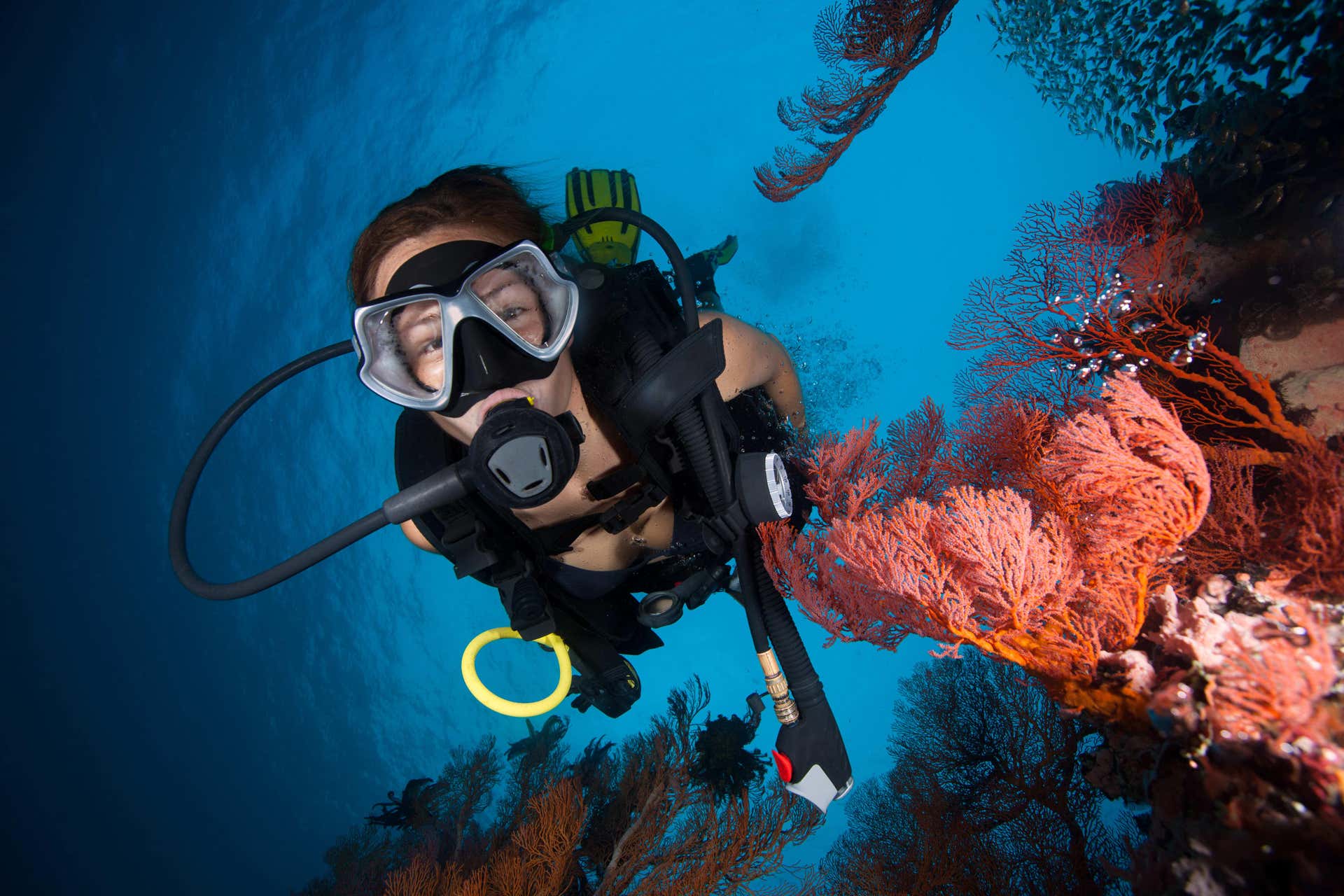 Buceo en Addu