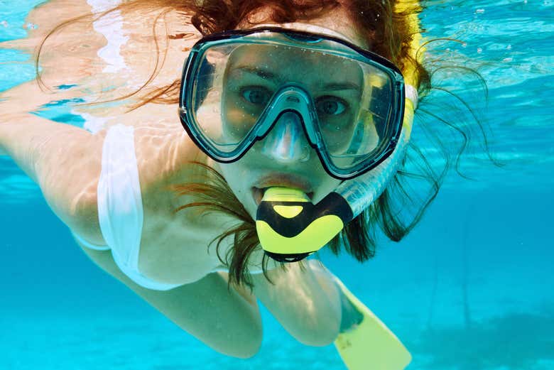 Descubriendo las profundidades marinas