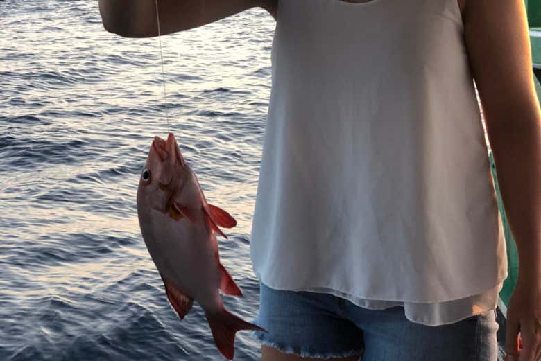 How many fish will you catch?