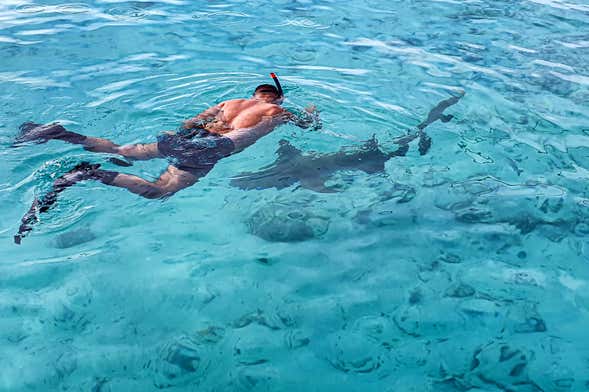 Snorkeling à Dhiffushi