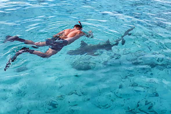 Snorkel em Dhiffushi