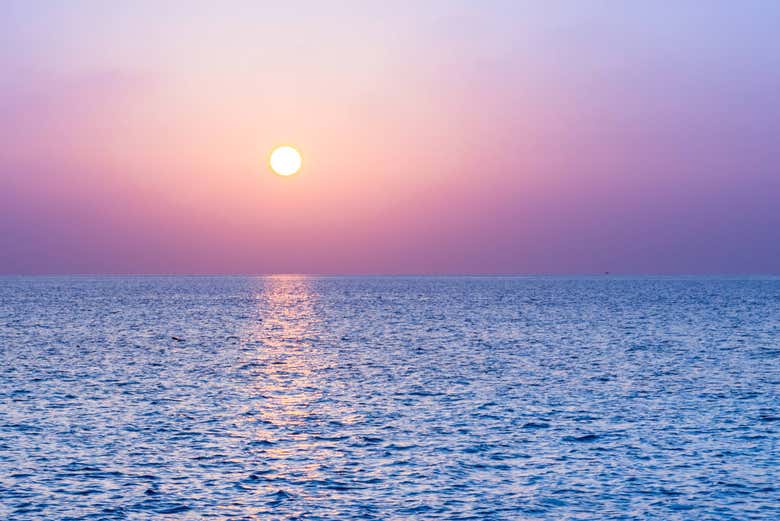 Enjoying the sunset