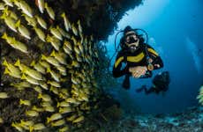 Bautismo de buceo en Maafushi