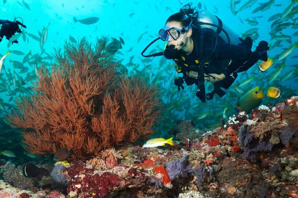 Mergulho em Maafushi