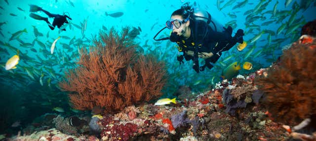 Buceo en Maafushi