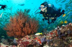 Immersione a Maafushi