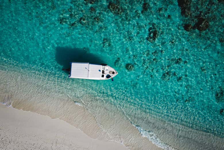Bird's eye views of the boat