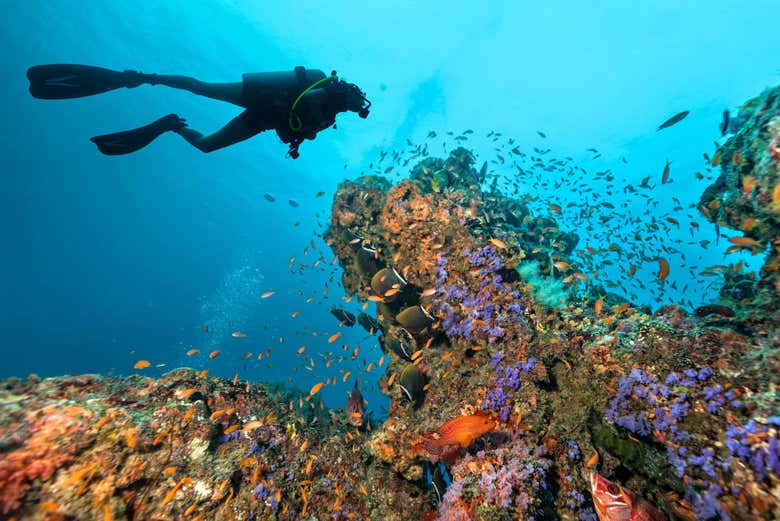 Buceando en Maafushi