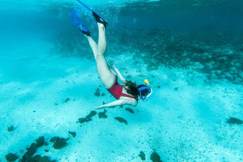 Practicando snorkel en Maafushi