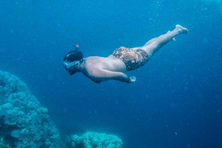 Snorkelling at Gulhi Island