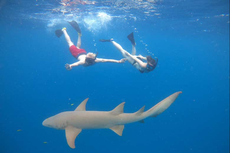 A unique experience in Maafushi