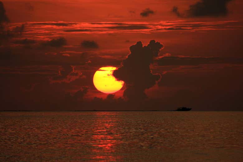 Admiring the sunset
