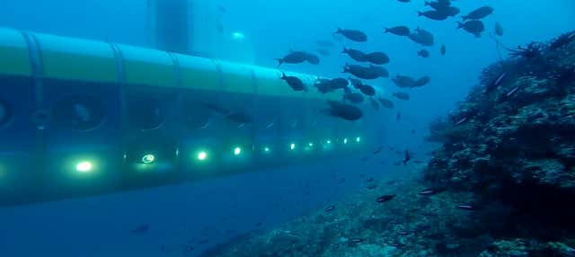 Submarine Tour of Maafushi