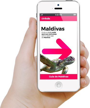 Faça download da app da Civitatis
