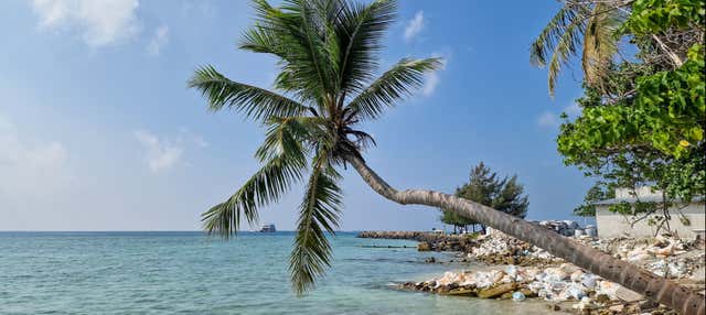 Gulhi & Maafushi Island Tour