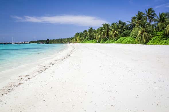 Day Trip to Villimale