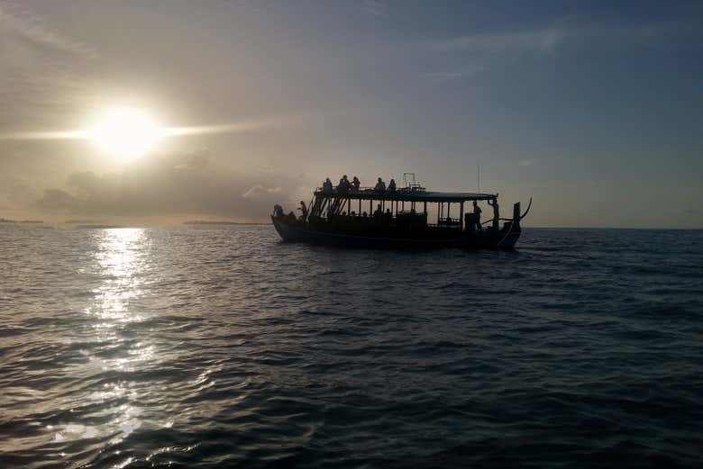 Barco para el avistamiento
