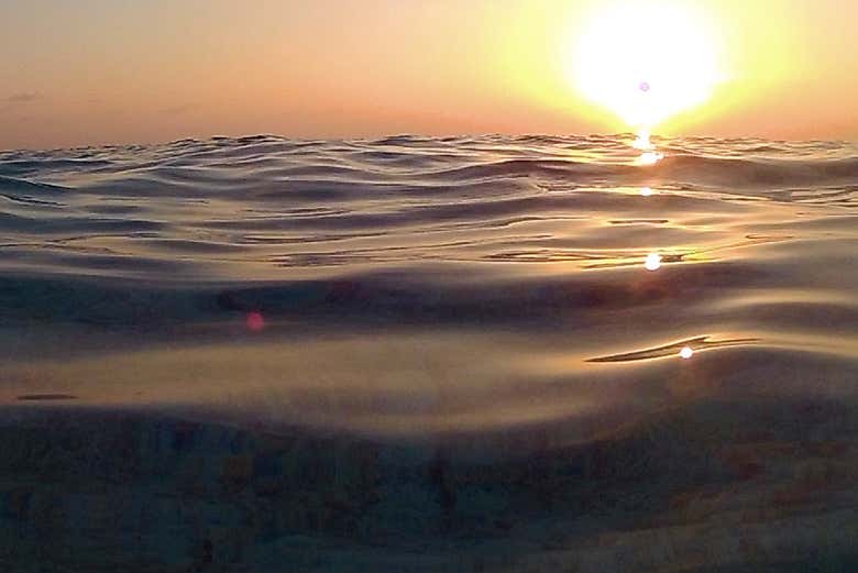 Disfrutando de la puesta de sol