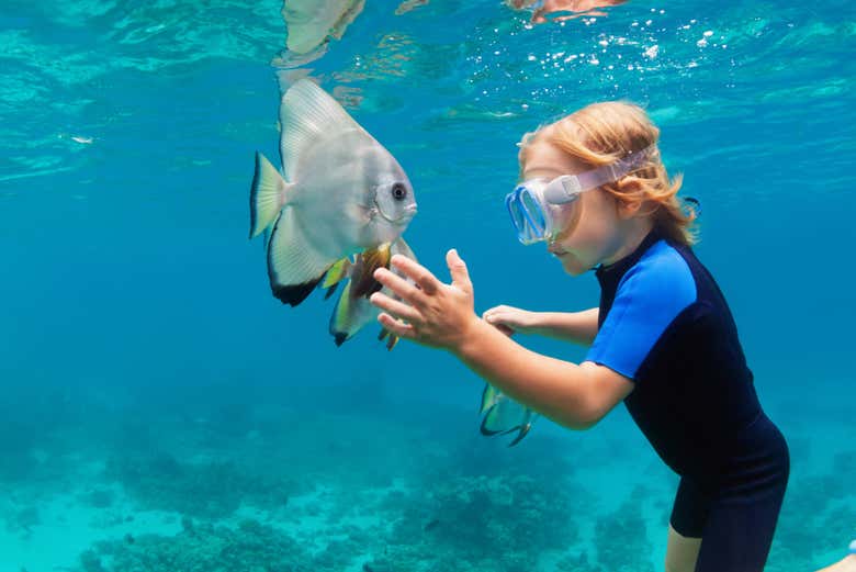 Snorkeling aux Maldives