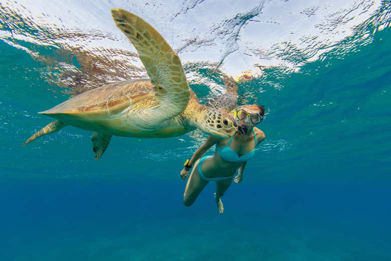 Snorkeling alle Maldive