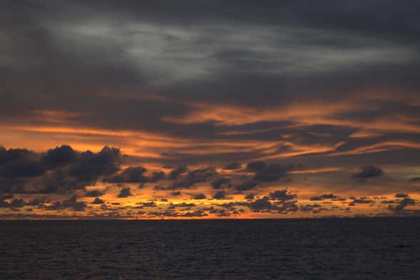 Passeio de barco ao entardecer + Snorkel