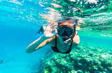 Snorkeling a Villimale